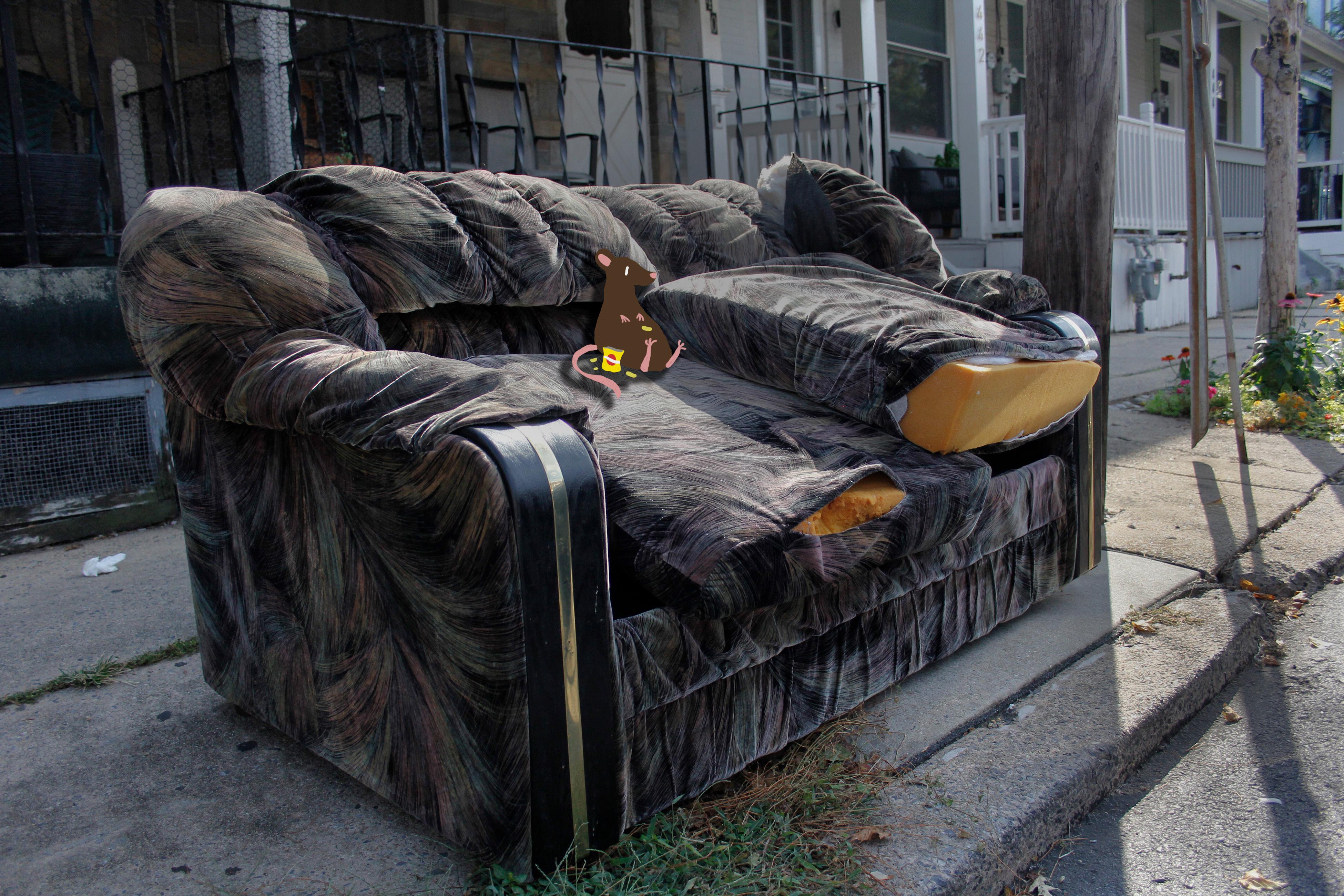 Couch Potato 