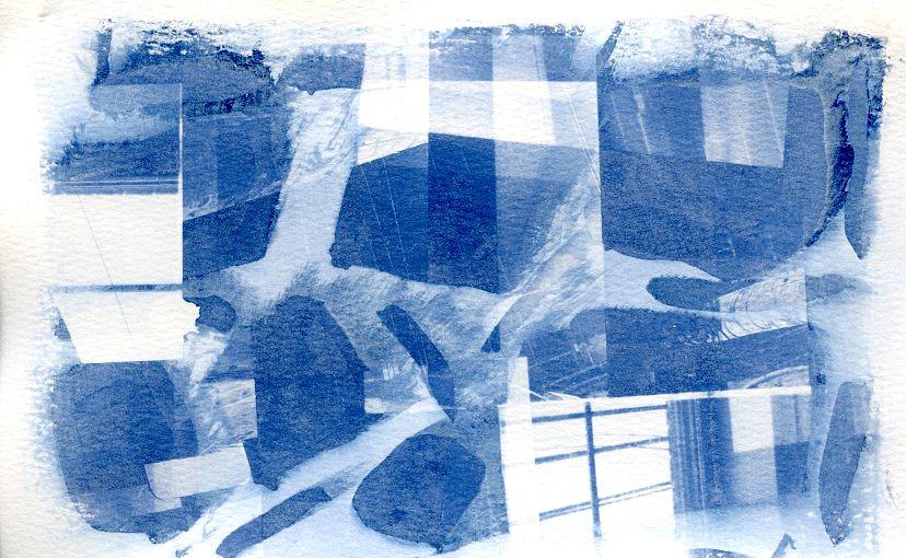 Cyanotype III