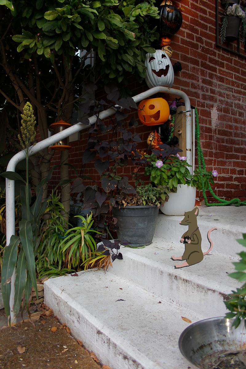 folder_preview_545046