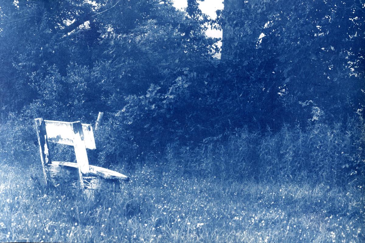 near the bench by the river bank