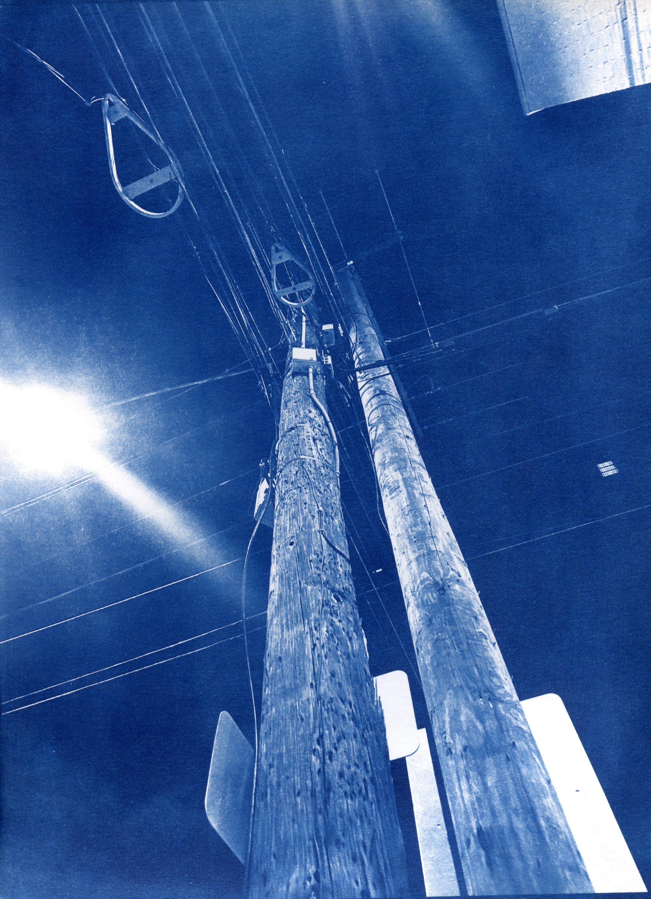 looking up a pole at night